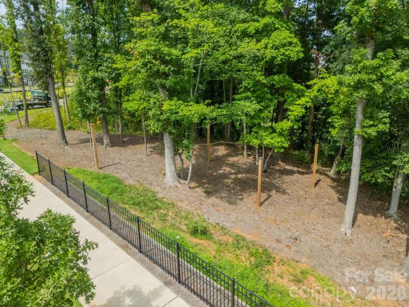 2025 Evolve Way, Charlotte, NC 28205.  MLS# CAR4355059, YatesRealty ID 5496. Wooded area