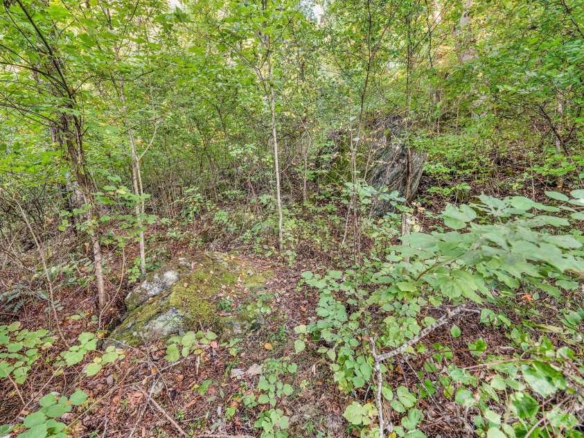 74 Lanzi Ledge Road, Leicester, NC 28748.  MLS# CAR4423050, YatesRealty ID 55008. HUGE Boulders on Property!