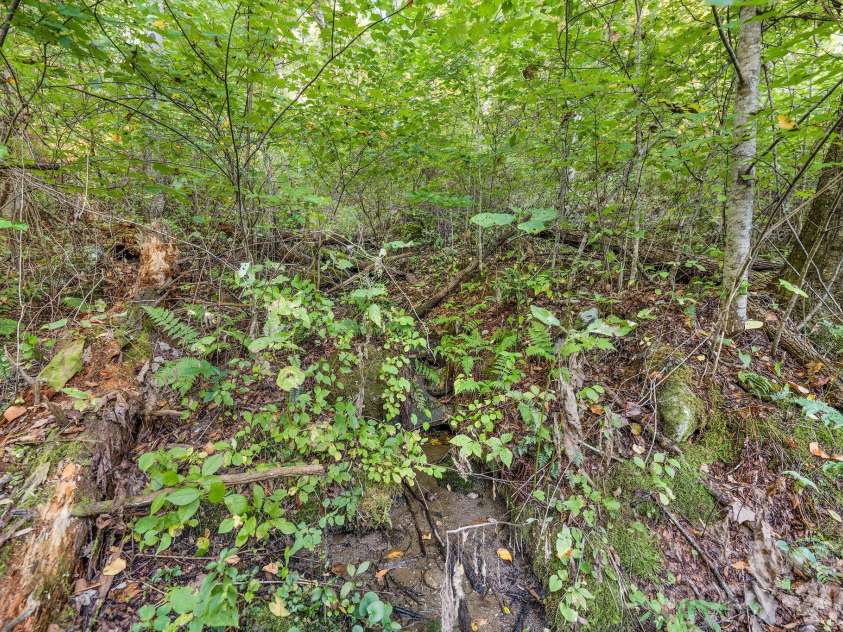 74 Lanzi Ledge Road, Leicester, NC 28748.  MLS# CAR4423050, YatesRealty ID 55008. Spring Fed Creek