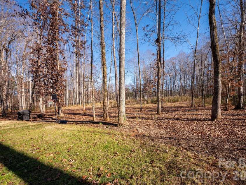 13017 Cinnamon Fern Lane, Mint Hill, NC 28227.  MLS# CAR4330864, YatesRealty ID 5509. Semi-cleared backyard