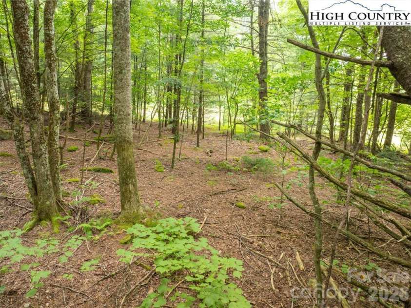 230 West Cove Lane, Boone, NC 28607.  MLS# CAR4432382, YatesRealty ID 55237. 