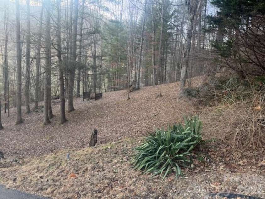 1372 Lickskillet Road, Burnsville, NC 28714.  MLS# CAR4333089, YatesRealty ID 55249. Side View of the Property