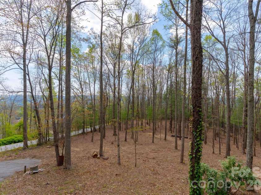 39 Tatham Road, Hendersonville, NC 28792.  MLS# CAR4430051, YatesRealty ID 55270. Southerly view