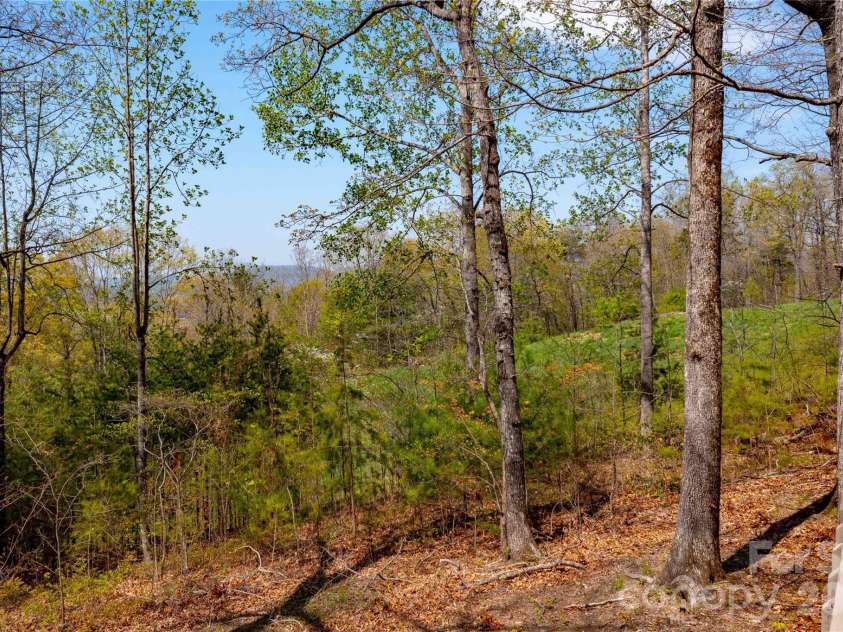 39 Tatham Road, Hendersonville, NC 28792.  MLS# CAR4430051, YatesRealty ID 55270. View looking west.