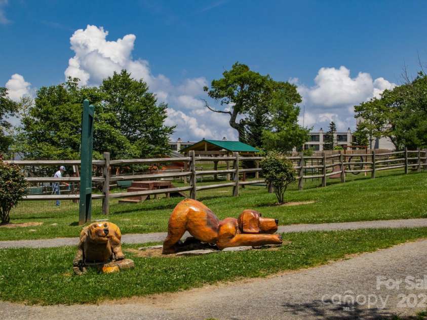301 Pinnacle Inn Road, Beech Mountain, NC 28604.  MLS# CAR4210516, YatesRealty ID 553. Beech Mountain Dog Park