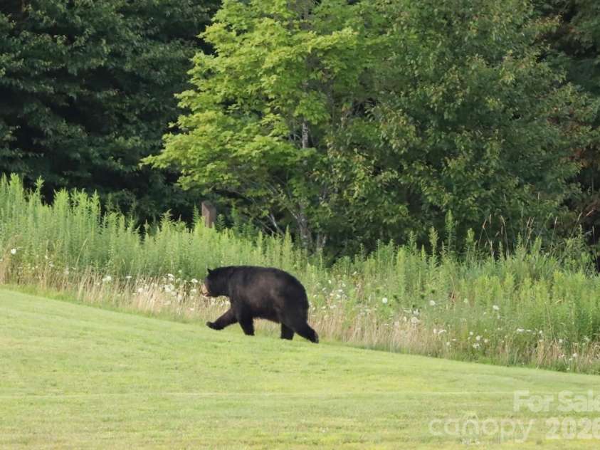 301 Pinnacle Inn Road, Beech Mountain, NC 28604.  MLS# CAR4337306, YatesRealty ID 553. 