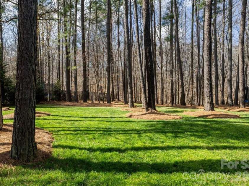 1525 Springfield Drive, Waxhaw, NC 28173.  MLS# CAR4356547, YatesRealty ID 5536. 