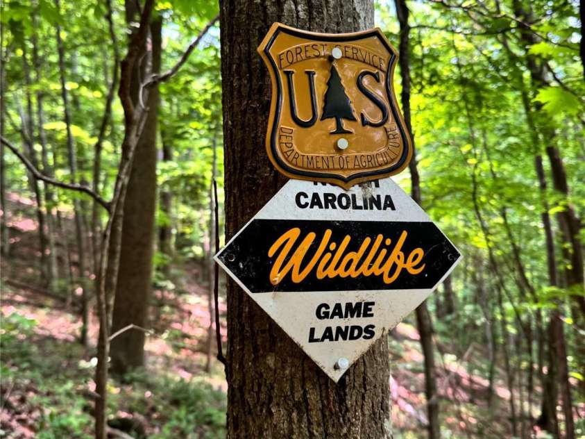 311 Pisgah Mine Road, Burnsville, NC 28714.  MLS# CAR4246357, YatesRealty ID 5536. 