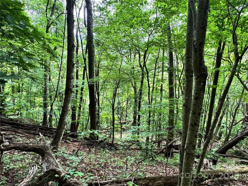 311 Pisgah Mine Road, Burnsville, NC 28714.  MLS# CAR4246357, YatesRealty ID 5536. 