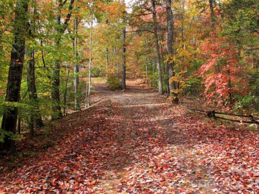 115 Laurel Wood Drive, Mars Hill, NC 28754.  MLS# CAR4431079, YatesRealty ID 55464. Looking up driveway during  Autumn.