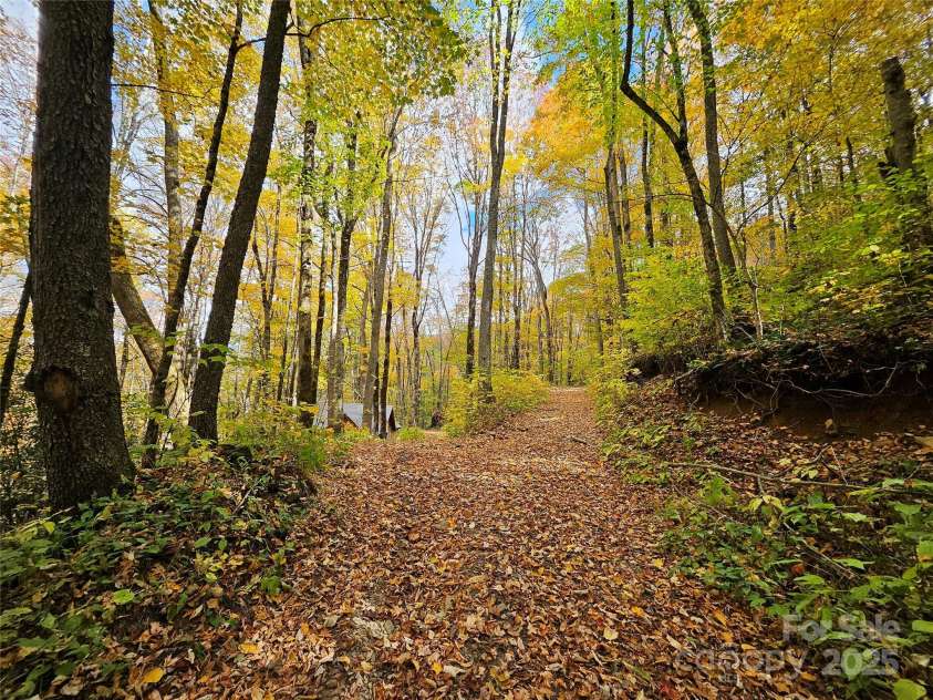 25 Hollow Log Road, Burnsville, NC 28714.  MLS# CAR4327813, YatesRealty ID 555. 