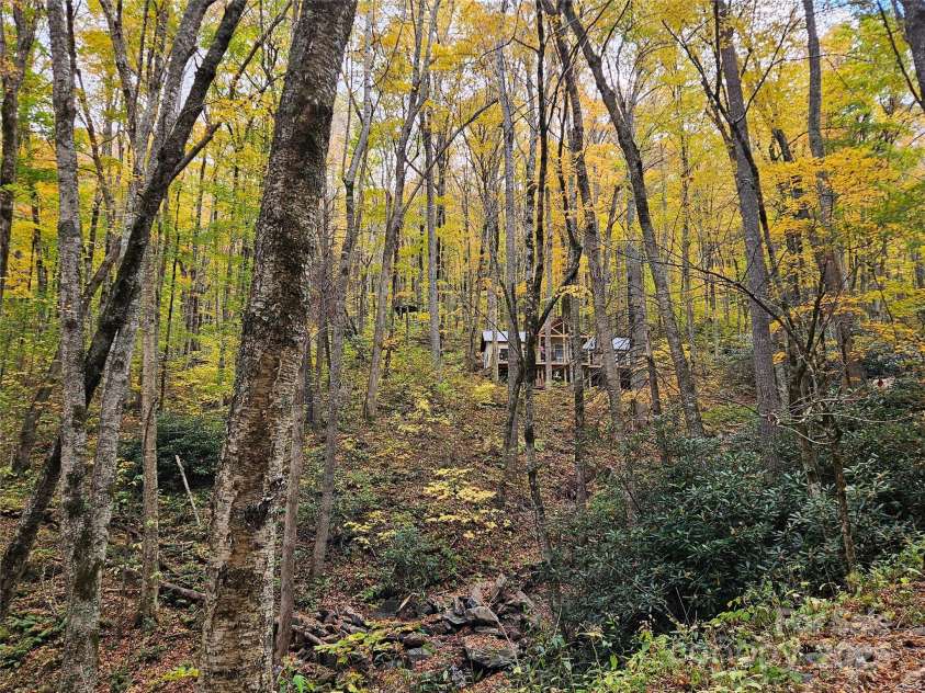 25 Hollow Log Road, Burnsville, NC 28714.  MLS# CAR4327813, YatesRealty ID 555. 