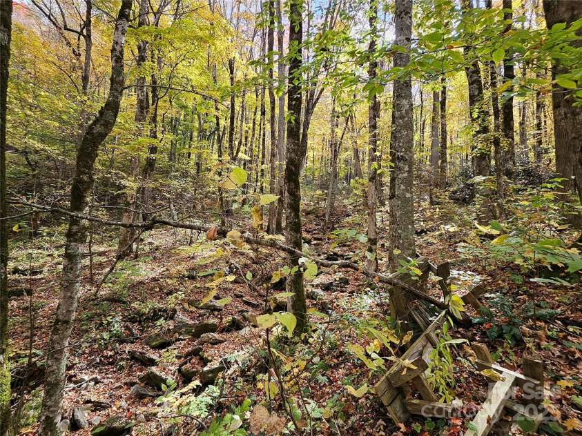 25 Hollow Log Road, Burnsville, NC 28714.  MLS# CAR4327813, YatesRealty ID 555. 