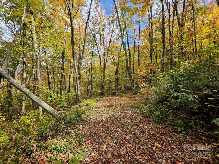 25 Hollow Log Road, Burnsville, NC 28714.  MLS# CAR4327813, YatesRealty ID 555. 