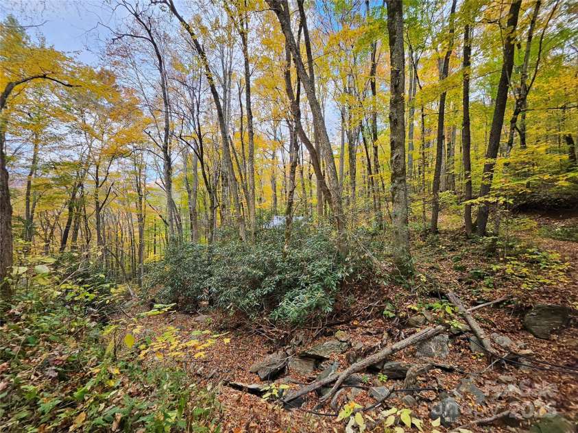 25 Hollow Log Road, Burnsville, NC 28714.  MLS# CAR4327813, YatesRealty ID 555. 