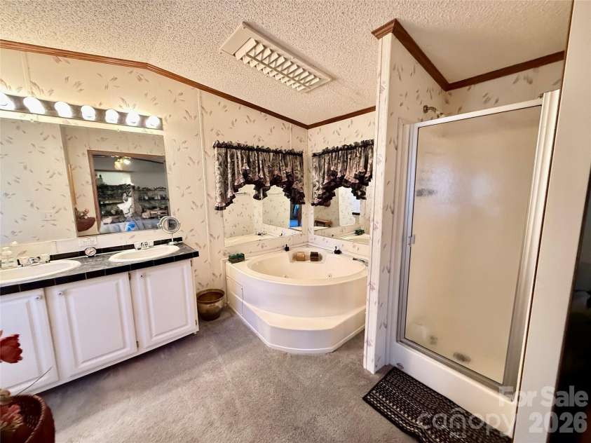 880 G W Whitmire Road, Rosman, NC 28772.  MLS# CAR4427376, YatesRealty ID 55565. Luxurious Bath