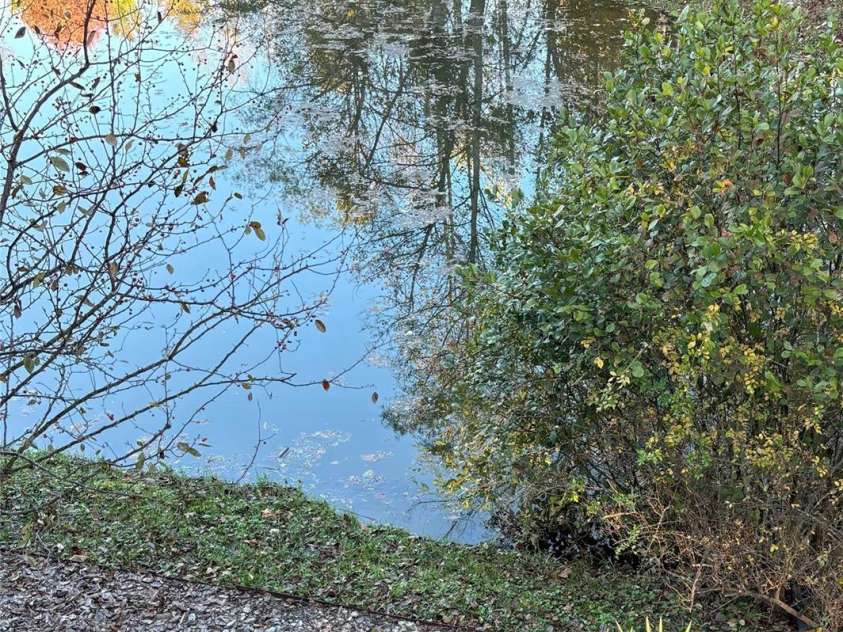 41 Golden Pond Way, Hendersonville, NC 28791.  MLS# CAR4237615, YatesRealty ID 5562. Sit by the pond and unwind in this peaceful, scenic retreat (photo taken in Sept. 2024)