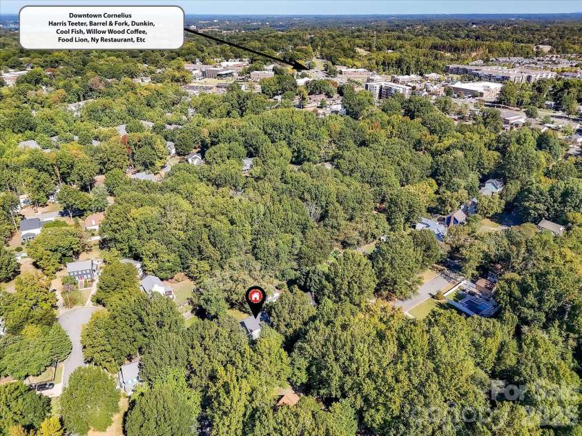 10709 Danesway Lane, Cornelius, NC 28031.  MLS# CAR4431451, YatesRealty ID 55685. This aerial view highlights the home's peaceful, tree-lined setting and convenient proximity to Downtown Cornelius, offering easy access to popular shopping, dining, coffee shops, and entertainment destinations.