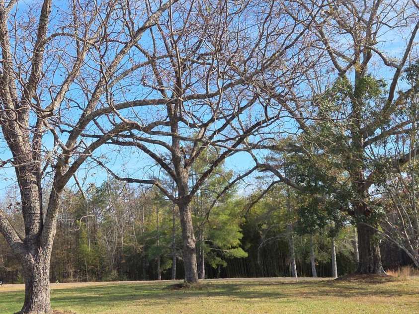 923 Green Creek Drive, Columbus, NC 28722.  MLS# CAR4426604, YatesRealty ID 55736. 