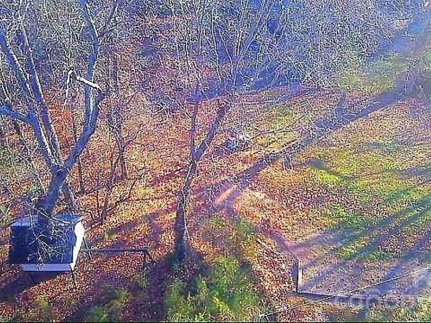 138 Rash Road, Lincolnton, NC 28092.  MLS# CAR4326541, YatesRealty ID 5584. 