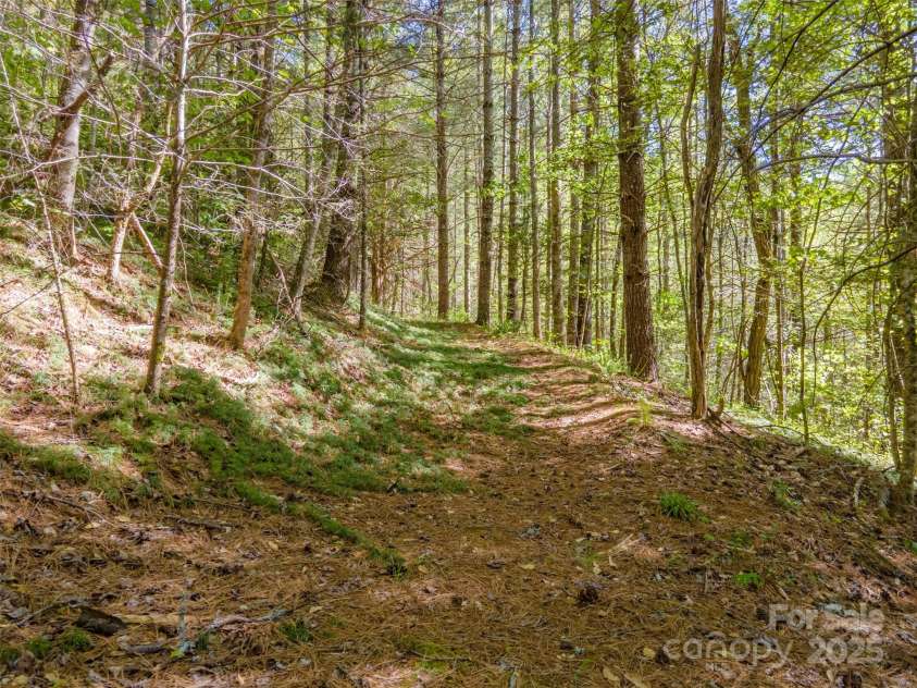 402 East Fork Road, Sylva, NC 28779.  MLS# CAR4213748, YatesRealty ID 5591. 