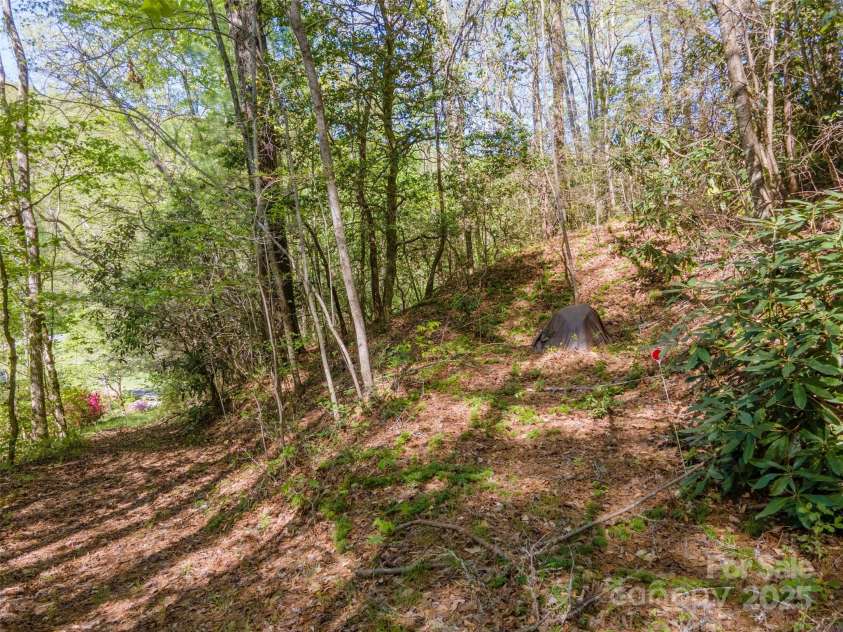 402 East Fork Road, Sylva, NC 28779.  MLS# CAR4213748, YatesRealty ID 5591. 