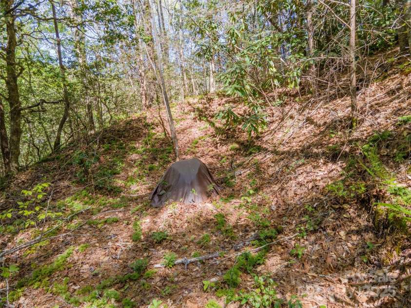 402 East Fork Road, Sylva, NC 28779.  MLS# CAR4213748, YatesRealty ID 5591. 