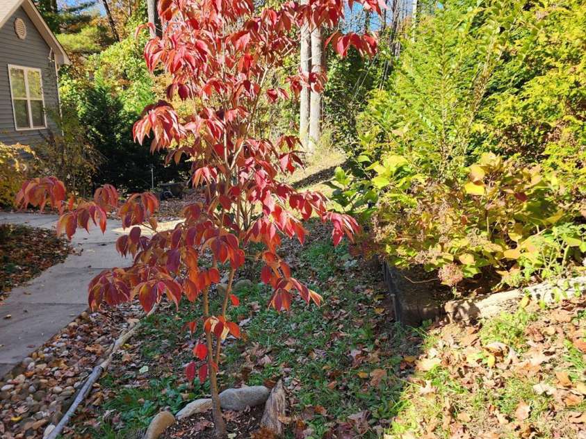 3327 Greenville Highway, Flat Rock, NC 28731.  MLS# CAR4355594, YatesRealty ID 5593. 