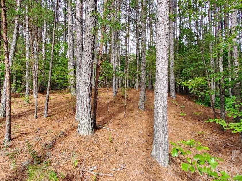 0 Sunset Drive, Mill Spring, NC 28756.  MLS# CAR4432604, YatesRealty ID 55946. LEVEL WOODED LOT