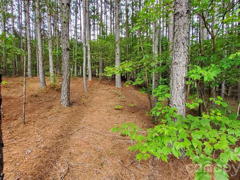 0 Sunset Drive, Mill Spring, NC 28756.  MLS# CAR4432604, YatesRealty ID 55946. WOODED LOT