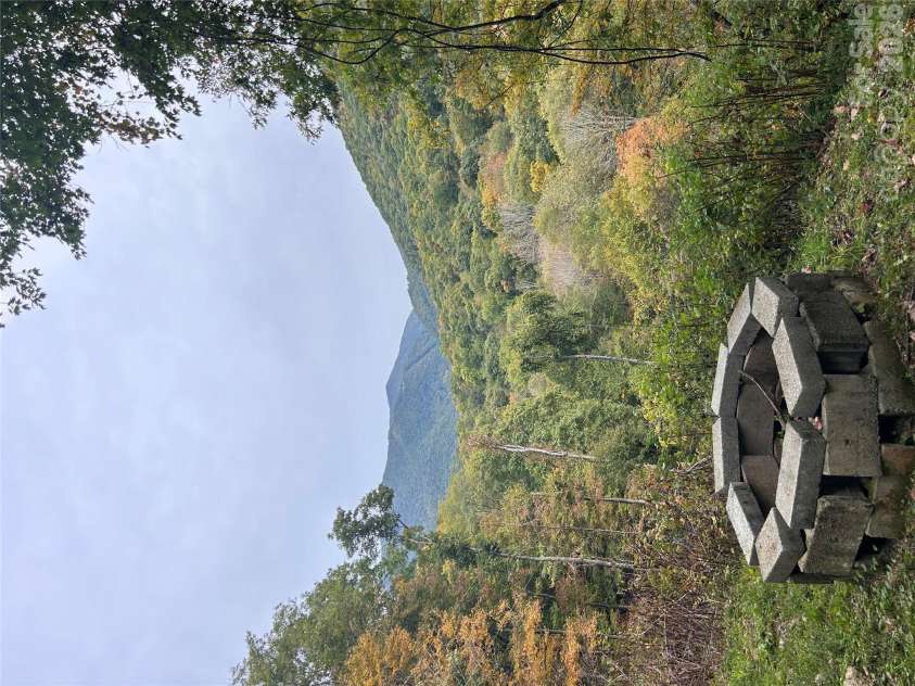 340 Wayah Zooshuga Road, Maggie Valley, NC 28751.  MLS# CAR4432934, YatesRealty ID 56062. 