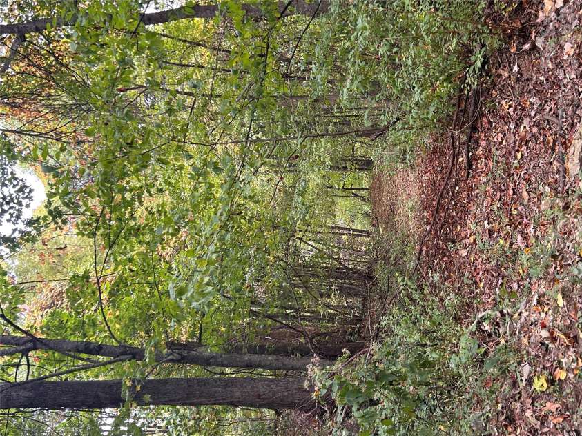 340 Wayah Zooshuga Road, Maggie Valley, NC 28751.  MLS# CAR4432934, YatesRealty ID 56062. 