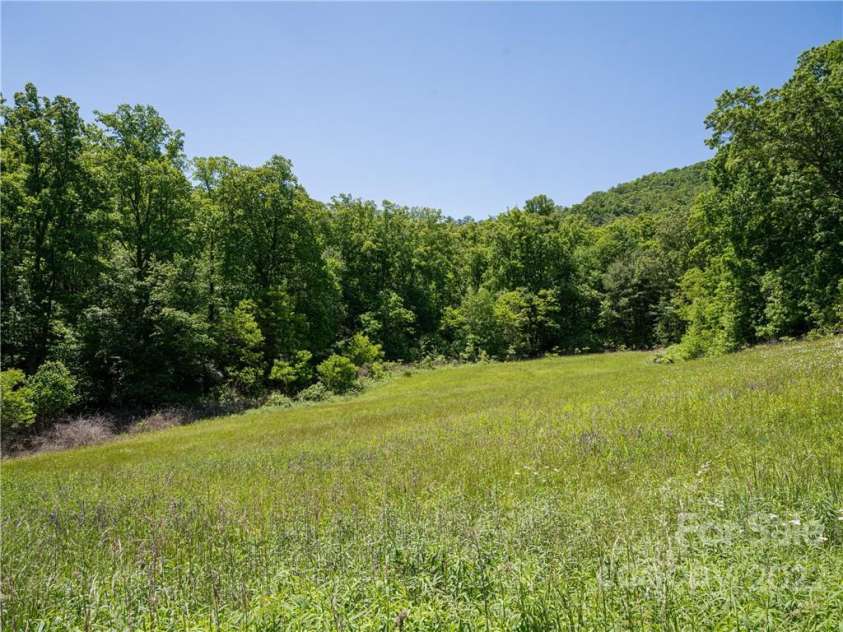 99999 Merrills Cove Road, Asheville, NC 28803.  MLS# CAR3918824, YatesRealty ID 561. 
