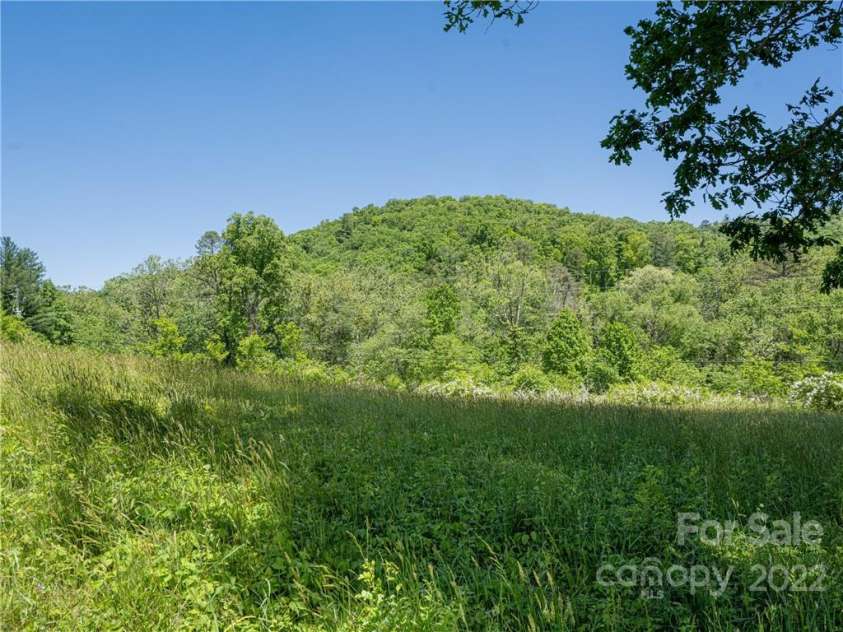 99999 Merrills Cove Road, Asheville, NC 28803.  MLS# CAR3918824, YatesRealty ID 561. 