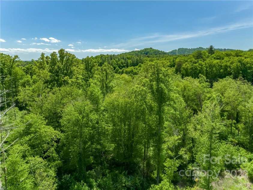 99999 Merrills Cove Road, Asheville, NC 28803.  MLS# CAR3918824, YatesRealty ID 561. 