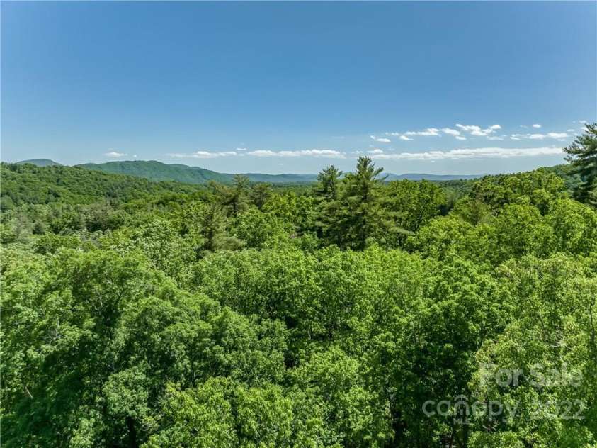 99999 Merrills Cove Road, Asheville, NC 28803.  MLS# CAR3918824, YatesRealty ID 561. 