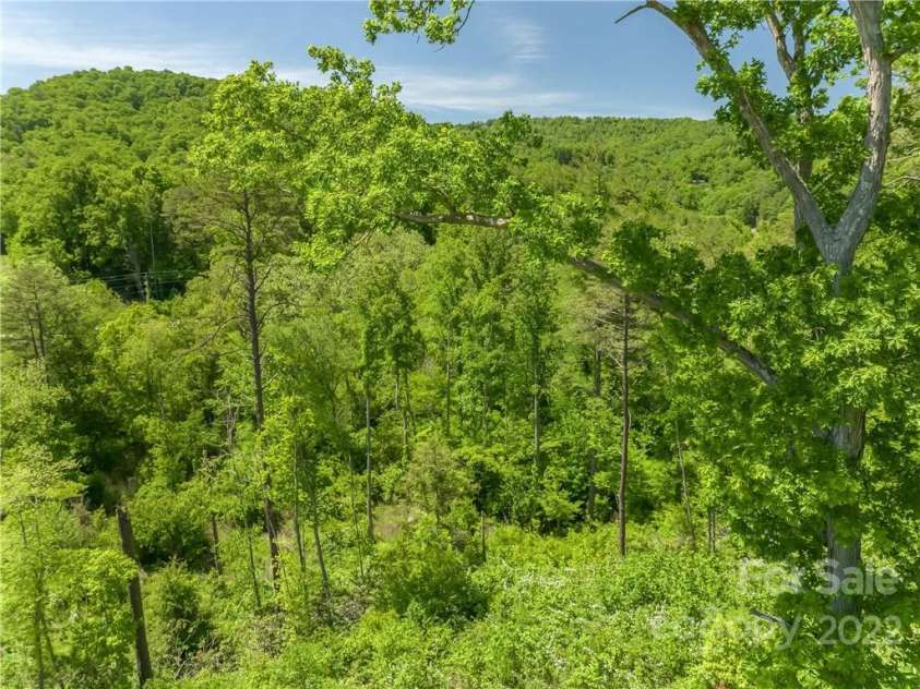 99999 Merrills Cove Road, Asheville, NC 28803.  MLS# CAR3918824, YatesRealty ID 561. 