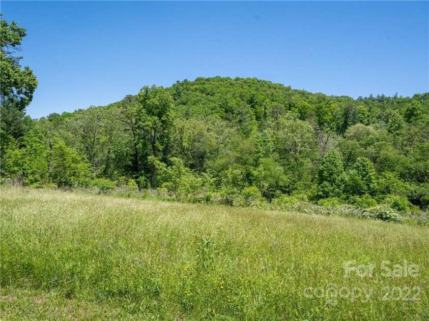 99999 Merrills Cove Road, Asheville, NC 28803.  MLS# CAR3918824, YatesRealty ID 561. 825+/- feet of frontage on Merrills Cove Rd.