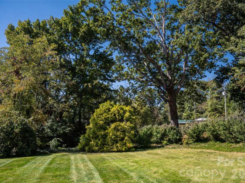 23 Wagon Road, Asheville, NC 28805.  MLS# CAR4433156, YatesRealty ID 56141. Backyard