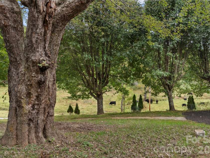 1277 Henson Cove Road, Canton, NC 28716.  MLS# CAR4432608, YatesRealty ID 56306. Views from large yard