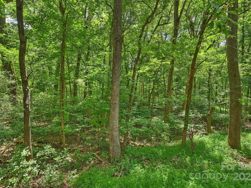 6115 Coltswood Court, Charlotte, NC 28211.  MLS# CAR4271652, YatesRealty ID 566. 