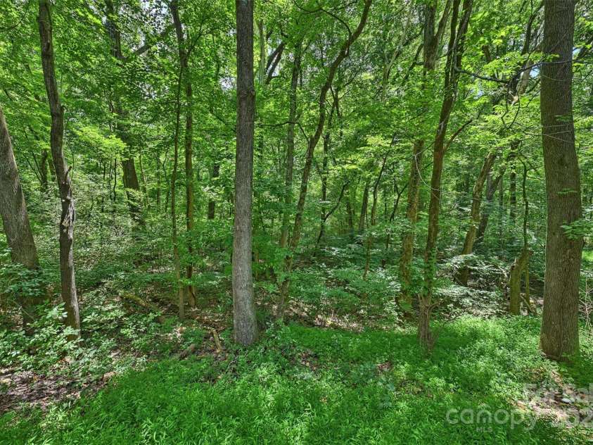 6115 Coltswood Court, Charlotte, NC 28211.  MLS# CAR4271652, YatesRealty ID 566. 