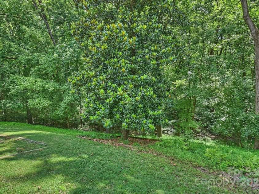 6115 Coltswood Court, Charlotte, NC 28211.  MLS# CAR4271652, YatesRealty ID 566. 