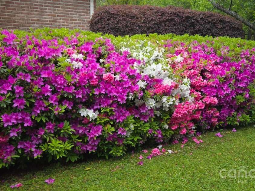 1575 Herlong Court, Rock Hill, SC 29732.  MLS# CAR4213099, YatesRealty ID 5660. 