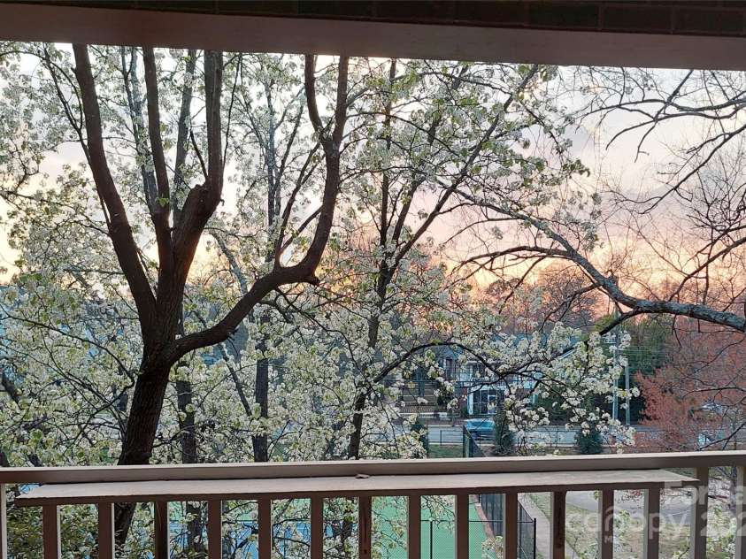 225 Chase Street, Charlotte, NC 28207.  MLS# CAR4216939, YatesRealty ID 5673. 