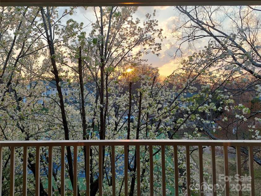 225 Chase Street, Charlotte, NC 28207.  MLS# CAR4216939, YatesRealty ID 5673. 