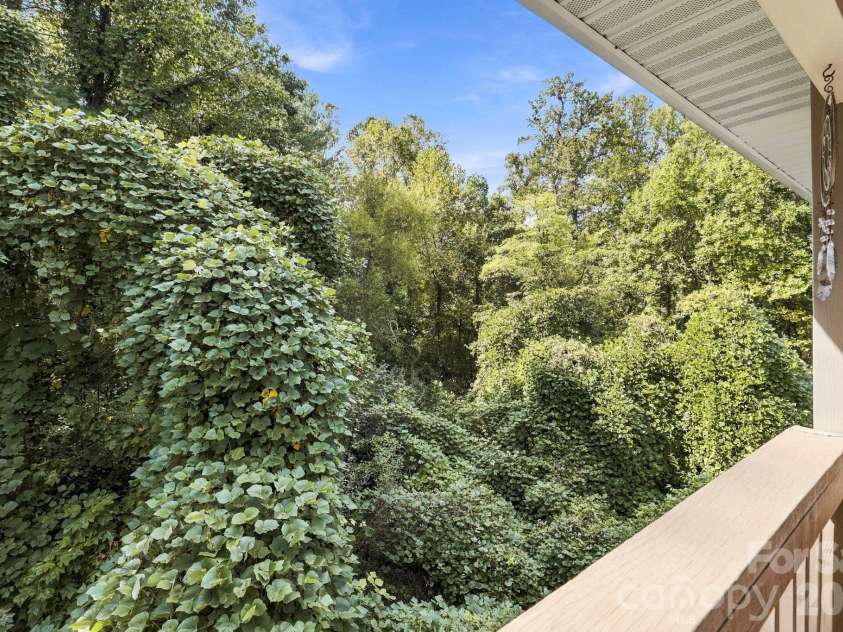 805 Carlyle Way, Asheville, NC 28803.  MLS# CAR4435205, YatesRealty ID 56893. Back deck with storage closet views