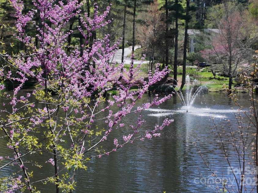 65 Forest Lake Drive, Asheville, NC 28803.  MLS# CAR4245225, YatesRealty ID 5693. Peaceful Fountain