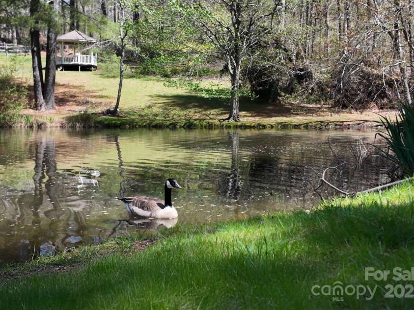 65 Forest Lake Drive, Asheville, NC 28803.  MLS# CAR4245225, YatesRealty ID 5693. Serine views