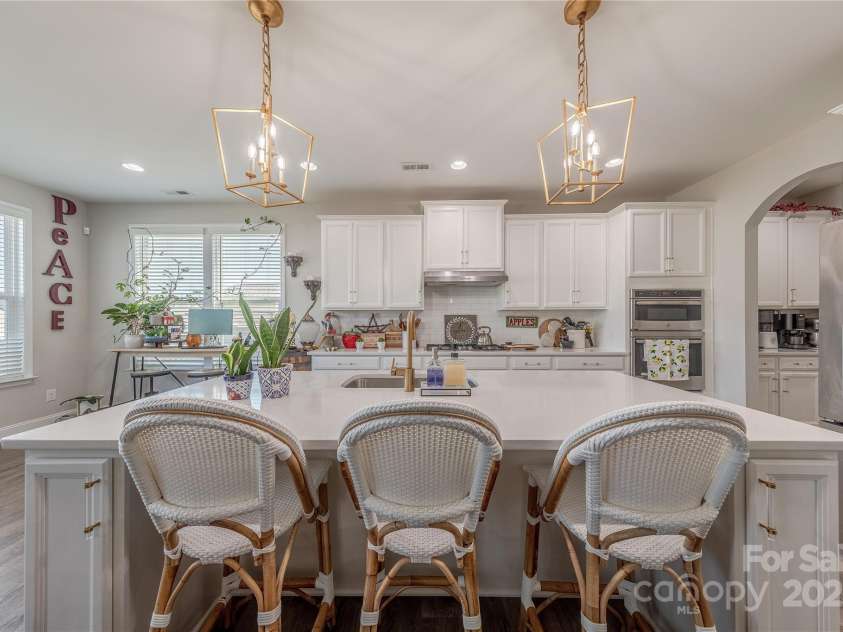 1048 Harbor Bay Drive, Indian Land, SC 29707.  MLS# CAR4231848, YatesRealty ID 5733. Custom Pendant Lights